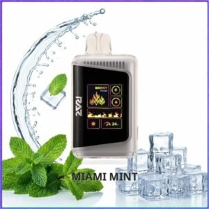 DC25000_Miami_Mint Raz DC25000 - Miami Mint