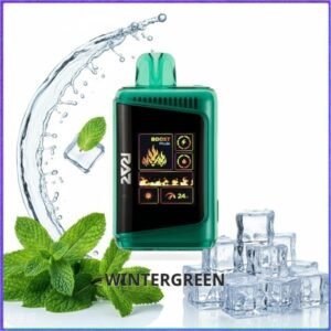 DC25000_Wintergreen Raz DC25000 - Miami Mint