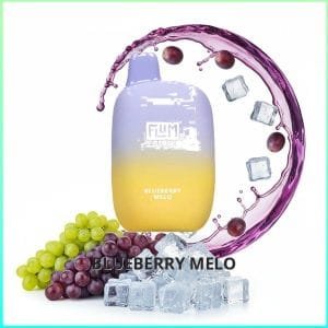 Flum Pebble - Blueberry Melo