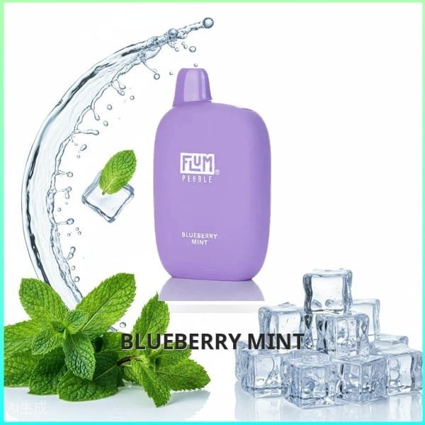 FLUM_Blueberry_Mint Flum Pebble - Blueberry Mint