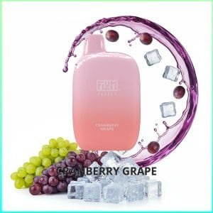 Flum Pebble - Cranberry Grape