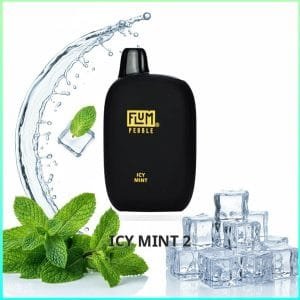 Flum Pebble - Icy Mint