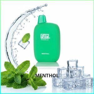 Flum Pebble - Menthol