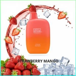 Flum Pebble - Strawberry Mango