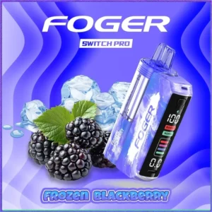 Berry Bliss – Foger Switch Pro Kit | 30K Puffs