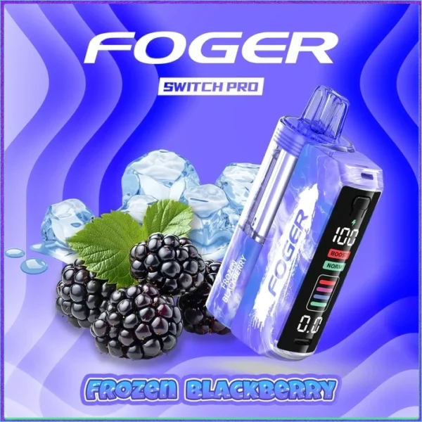 FROZEN-BLACKBERY Berry Bliss – Foger Switch Pro Kit | 30K Puffs