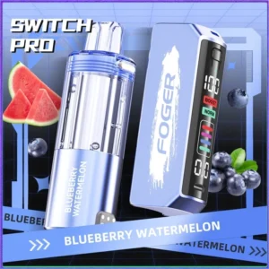 blueberry-watermelon-foger-switch-pro-30k-puffs