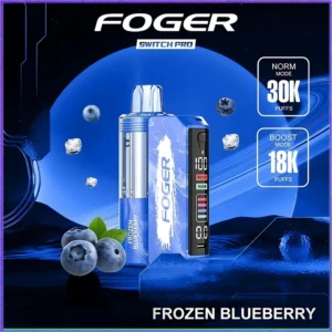 Frozen Blueberry – Foger Switch Pro Kit 30K Puffs