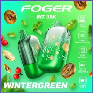wintergreen-foger-bit-35k-cover_74f0f01b-7d17-4e16-bb92-e0c4046d28b5 WinterGreen – Foger Bit 35K Puffs